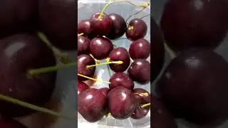 Fresh Cherries #shorts