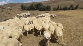Tokat artova çelikli köyü