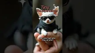Tiny Cosplaying Animals as The Expendables Reimagined | Realistic Miniature Pet Art in Action Gear!