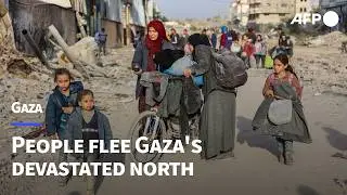Gazans flee as dozens killed in Israeli strike on devastated north | AFP