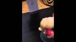 LPS: Принцесса Стори 2 серия