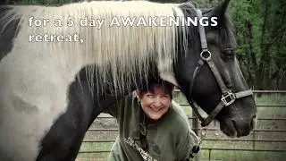 Awakenings Equine Coaching & Shamanism Retreat