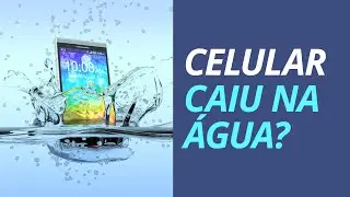 O que fazer quando o celular cai na água