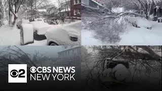 Blizzard leaves plenty of damage across New York City