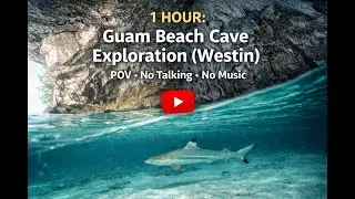 POV: Exploring a Beach Cave on Guam (Westin Area) | Baby Sharks + Huge Schools of Fish