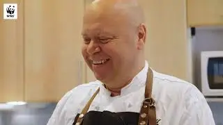 Vego i v&auml;rldsklass p&aring; curling-EM