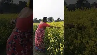 thandi thandi ye haoyae #shorts #shortsong #viralshortvideo
