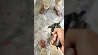 Revolver of Sub-Inspector wbp  police,West Bengal . | | Abir Sir | | West Bengal police | | #shorts