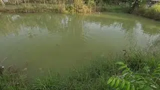 Ubon Mud Pond New Channel