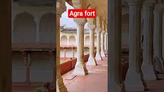 Agra mein ghumne ki best location / Agra fort tickit price 2025 / #shorts #youtubeshorts #travel