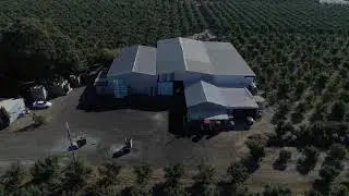 Iconic Shepparton East Pear Orchard