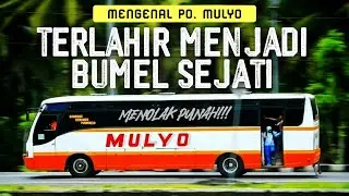 SEJARAH PO. MULYO - BUMEL TERTUA YANG MASIH TERSISA MENOLAK UNTUK PUNAH #NGULASBUS