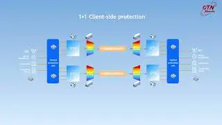 Optical Transmission Minipedia | Issue 8: Protection Schemes of a WDM Network