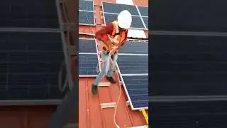 SGS Lifeline