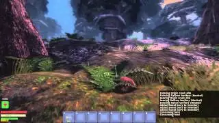 Tolroko Forest
