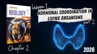 CHAPTER 2 | Lesson 1 | ELMOASSER | Hormonal coordination in living organisms part 2