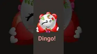 Meer dingo! credits to @Hiyumi_official #shortsviral#edit#@Hiyumi_official