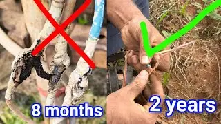 This is the reason the motor burns again &ndash; Perfect Borewell Cable Joint Technique