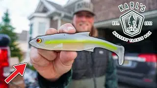 Lake St Clair Smallmouth Bass Swimbaits - BEST Swimbaits Lake St Clair