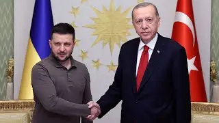 Daily News Egypt | Erdogan, Zelensky hold talks in Istanbul