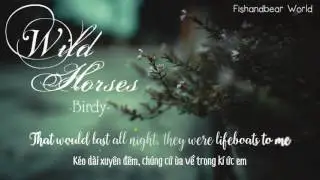 [Lyrics+Vietsub] Wild Horses - Birdy