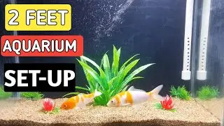 2 feet fish tank setup | 2 feet aquarium decoration ideas | Aquarium decorations idea .&lrm;