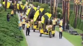 Elephant's riding cycle