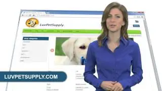 Wholesale Discount Pet Supplies, online pet store