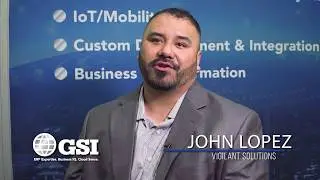 Vigilant Solutions: ERP Process Improvement Upgrade (2019)