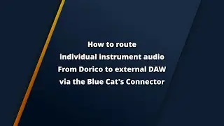 How to route individual mixer audio From Dorico to external DAW
