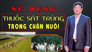 SỬ DỤNG THUỐC S&Aacute;T TR&Ugrave;NG TRONG CHĂN NU&Ocirc;I