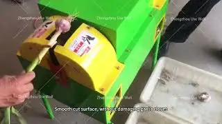Garlic Root Cutting Machine | Fresh garlic root stem cutting machine #garlic