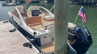 Scout 240 Dorado 2023 -  