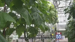 Federal grant will help fight food insecurity, chronic health issues in Fort Wayne