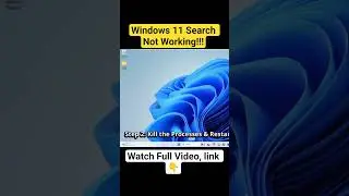 Fix Windows 11 Search Bar Not Working.
