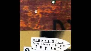 Robert Dick 