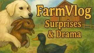 Farm Vlog &ndash; A Rabbit Rescue and a Mystery Duck?!