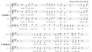 BWV228 Fürchte dich nicht,ich bin bei dir (Alto2)