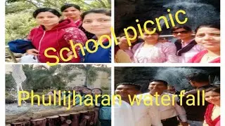 Nature study# Phullijharan#Bhagirathi park# Chichaiguda govt high school#Manini Meher#youtubevideo