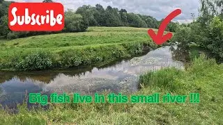 Fishing for BIG chub In a small river | 4K underwater footage&hellip;!!! 🤯🤯🤯