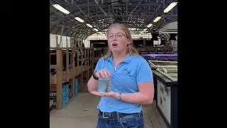 Florida Snook Captive Breeding Program