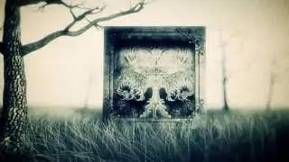 Enlightened - Land of Joy