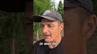AI Roof Check: Instant Home Inspector Assistant