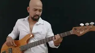 MY LONELY MAN BASS COVER #rhcp #mylonelyman #mylonelymanbasscover #bassfunk #basslegend