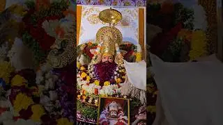khatushyam#mandir#live darshan#shyam#ai#song#youtubeshorts.