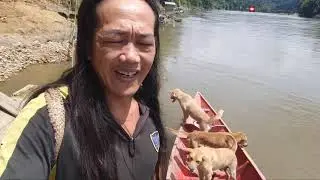 SAAT BERBURU ADA ANJING TERLIHAT ANEH DI HUTAN