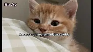 Jonathan Roy - Beautiful Day (Stripped Version) (Türkçe çeviri)