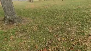 Riding my Four wheeler Around ￼