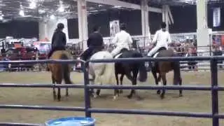 Dancing with Horses - Dressage Quadrille