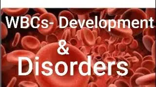 WBCs - Development & Disorders | Pathology online classes in hindi| Leukemia| Lymphoma| Leukamoide|